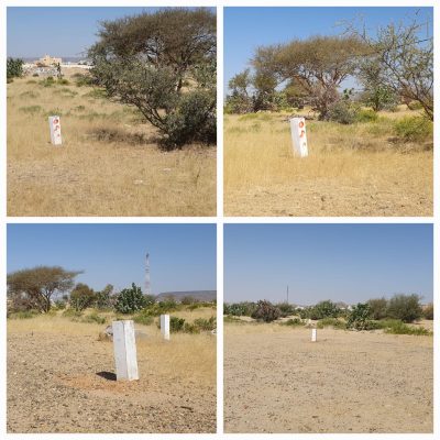 مبادرة مجتمعية لحماية غابة وادي السرح .. بالعاصمة المقدسة