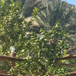 رفع إنفاق الأسر على الثقافة والترفيه ضمن مستهدفات رؤية 2030