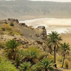 بحوث ودراسات لتطوير خدمات الحجاج