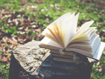 الأمل والتفاؤل… زهرة الحياة