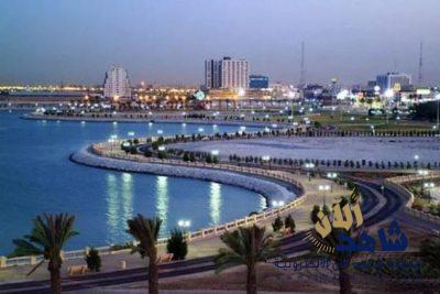 مواطنة تفقد جنينها وإصابة ابنتها بجروح إثر هجوم كلبين عليهما في منتجع سياحي بجدة