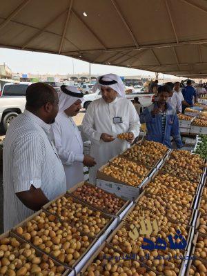 الشرقية : جولات رقابية للكشف عن متبقيات المبيدات