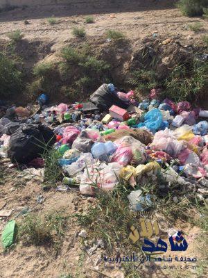 المؤسسة العامة للري تبدأ فعلياً في رصد المخالفين داخل الواحة الزراعية الاحسائية