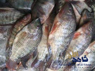 “الغذاء والدواء” تحظر استيراد أسماك “البلطي” و”البوري” من مصر