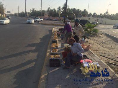 حملة المؤسسة العامة للري لمنع العمالة السائبة من داخل النطاق الزراعي