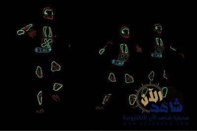 الثلاثاء اخر عروض نتاليا ليزر شو بمهرجان ترفيه اكشن