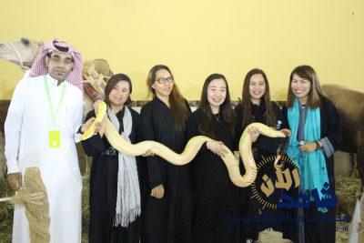 500 زائر لفعاليات مهرجان عيدكم أحلى لليوم الثاني بمدارس الشروق