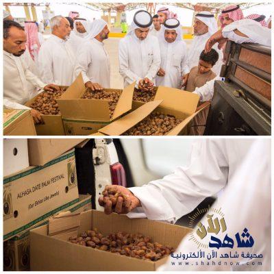 350 طن ” تمور ” يستقبلها مزاد الاحساء في ثالث ايامه