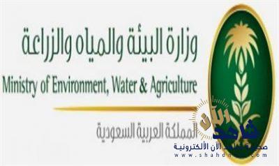 “المياه”: فصل الخدمة عن منشآت القطاع التجاري المتعثرة في السداد