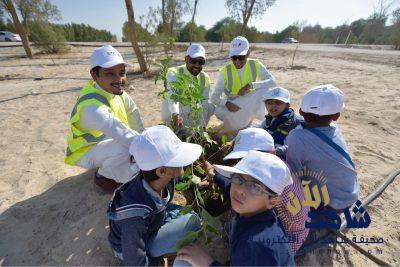 تفاعل كبير في برنامج تشجير جواثا