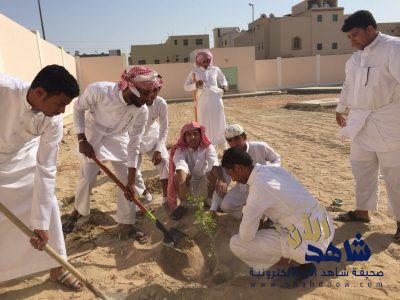 طلاب مدرسة أبي حنيفة بالهفوف تساهم في حملة التشجير