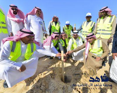 الري والنقل تطلقان المرحلة الأولى في تشجير طريق الدائري الشمالي بالأحساء