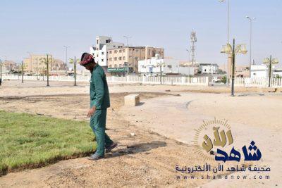 بلدية مدينة العيون تعيد زراعة الحدائق بالمدينة والاعتناء بها