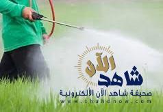 ضبط 5250 كيلو جراماً من البذور منتهية الصلاحية وأكثر من 600 لتر من المبيدات المحظورة