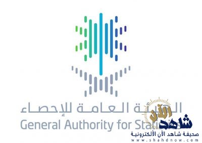 إصدار أكثر من نصف مليون تأشيرة عمل خلال 9 أشهر.. 114 ألفا منها للقطاع الحكومي