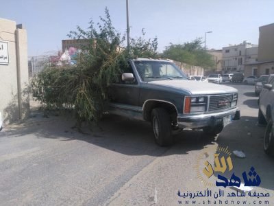 بالصور .. شباب الرميلة يتطوعون لتنظيف مقبرة العمران