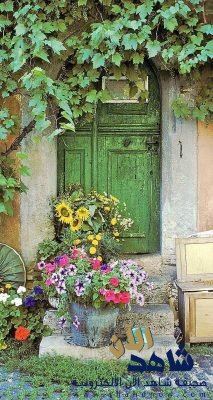 أشباح للبيع أو التنازل !!