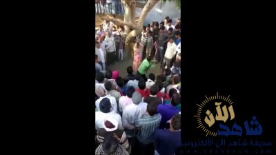 شاهد.. جلد امرأة مقيدة إلى شجرة ومحاولات لاغتصابها
