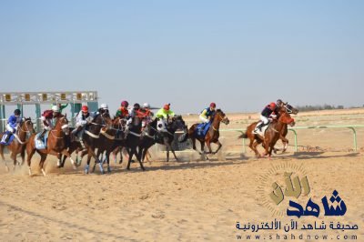 “صمال” يخطف سيارة سباق فروسية الأحساء 22