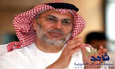 قرقاش لـ تميم: عليك أن تصمت وتشاهد محمد بن سلمان يساهم في كتابة التاريخ