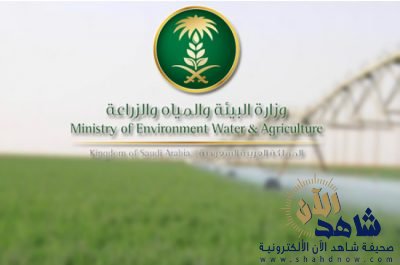 «الزراعة» تضيف 4 محاصيل على قوائم الممنوعات من التصدير