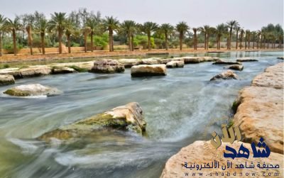 مدني الرياض ينقذ 31 محتجزًا في سيول ومياه الأمطار بمحافظات المنطقة