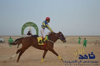 بحضور رئيس المجلس البلدي .. اشقراني يتوّج بطلاً لسباق فروسية الاحساء 25