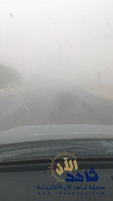 بالفيديو والصور موجة غبار تجتاح الاحساء