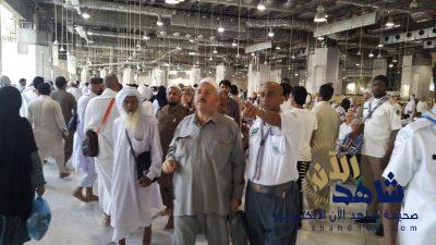 اخصائي الإعلامي الكشفي : مشهد رسل السلام في الحرم لا تمل العيون من متابعتها وتعجز عدسات التصوير من رصدها