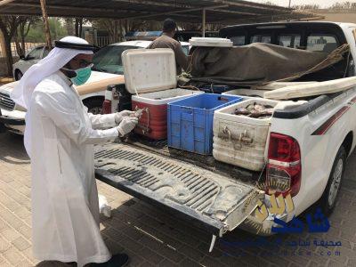 بلدية الجفر تضبط مقيم يبيع سمك غير صالح للاستهلاك