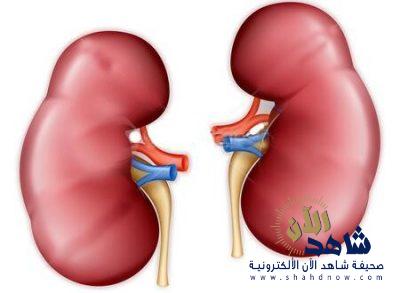 نورا تحلم بكلية تُنهي مُعاناتها