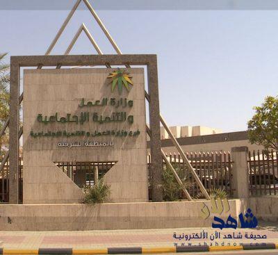 ورشة تدريبية لمؤشرات قياس الأداء الصحية بمراكز التأهيل الشامل