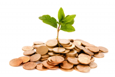 نعم للتصدير لا للتبذير