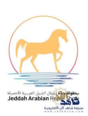 بطولة جدة لجمال الخيل العربية الأصيلة تنطلق غداً الخميس في جدة بمشاركة 188 جواداً