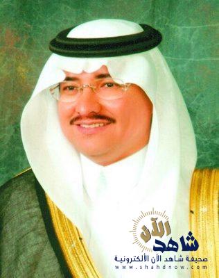 إطلاق مبادرة الحزام الأخضر المحيط بالمدن