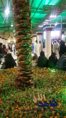 نزيلات الحماية بالأحساء في مهرجان “وَيَا التمر أحلى2019”