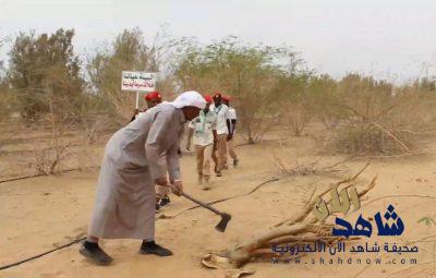 كشافة وادي الدواسر يواصلون مبادرة التوعية بمخاطر الاحتطاب الجائر