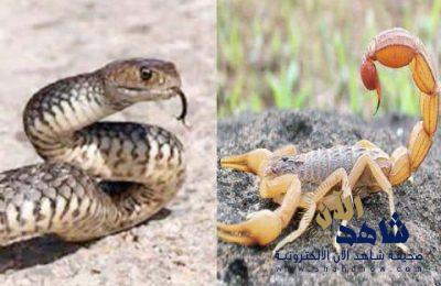 مدينة الملك سعود الطبية تحذر من لدغات العقارب والثعابين