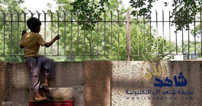 “الفاكهة القاتلة” تودي بأرواح عشرات الأطفال في الهند يعتقد أن فاكهة الليتشي تسببت بحالات الوفاة