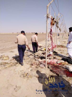 الاطاحة بمخالفين يُمارسون «الذبح العشوائي» بالدمام