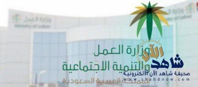 “العمل”: برنامج “دعم التوظيف” يستهدف تدريب السعوديين خارج المملكة