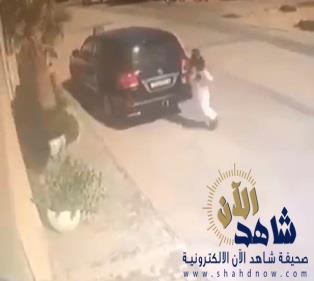 فيديو.. كلاب ضالة تهاجم رجلاً وامرأة أثناء خروجهما من المنزل بالدمام