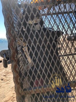 العثور على هيكل عظمي في قفص حديدي تحت البحر بتبوك.. ومختص يرجح علاقته بالسحر (صور)