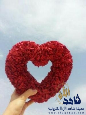 قلب السماء ( فاطمة حسين )
