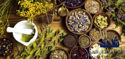 المالكي يتحدث عن طب الأعشاب وفوائده