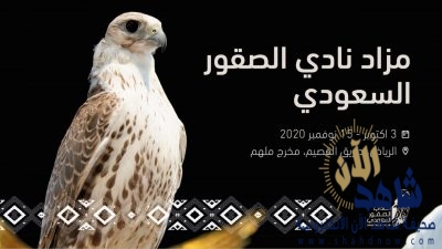 اليوم انطلاق مزاد نادي الصقور السعودي بالرياض