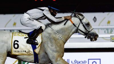 عادل الفريدي .. الفارِس اللامِع الذي يجيد حصد ألقاب التحدّي .