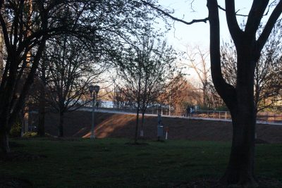 اليوم العالمي للبيئة معايشة للحاضر وتناقض مع الواقع