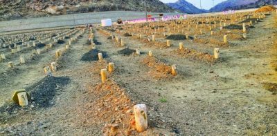 العدوي يفجع في وفاة  والدته فجر اليوم الخميس