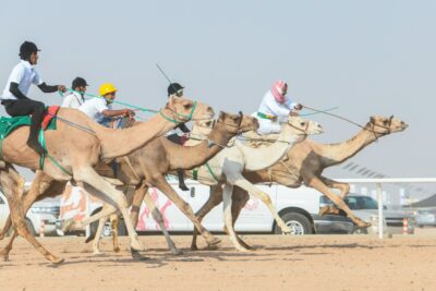 1,200 مليون في انتظار هجانة ماراثون المهرجان.. غداً